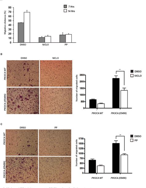 Figure 1 From Computational Drugs Repositioning Identifies Inhibitors