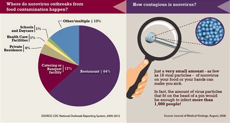 Preventing Norovirus Outbreaks infographic | VitalSigns | CDC