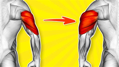 7 Effective Tricep Cable Exercises For Building Strength And Size Workout Guru