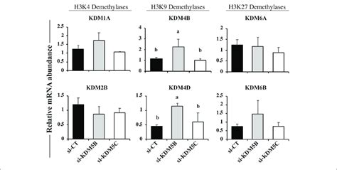 Relative Mrna Levels Of Kdms Of H3k4 H3k9 And H3k27 On Day 3 Pa