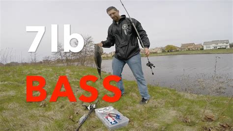 Big Swimbaits For Big Bass Bass Manager The Best Bass Fishing