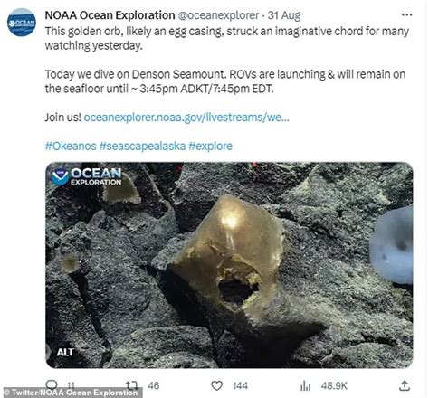 Mysterious Golden Egg Is Discovered On The Seafloor Off Alaska And Experts Say Theyve Never