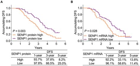 Comparison Of Accumulating Dfs Between Patients With Surgical Nsclc