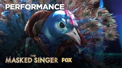 The Peacock Performs Lets Go Season 1 Ep 8 The Masked Singer Singer Performance