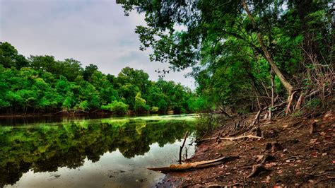 Woods Beautiful Clouds Leaves Splendor Green Beauty River