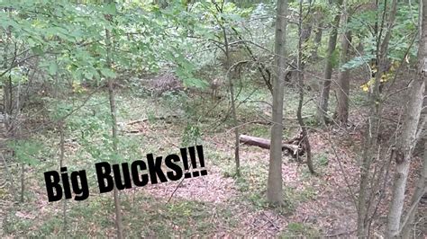 Big Buck Action Michigan Youth Hunt Youtube