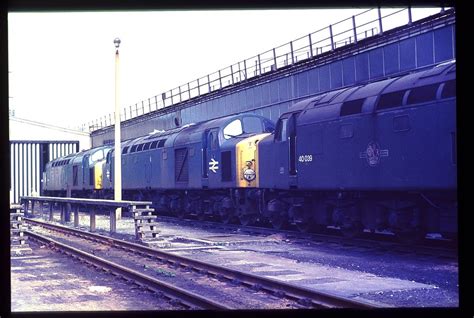 Class 40 40039 40102 And 40005 Are Withdrawn And Are Wait Flickr