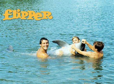 Flipper (1964) TV Show Air Dates & Track Episodes - Next Episode