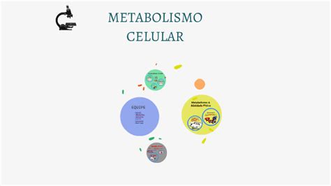 Metabolismo Celular By Larissa Andrade On Prezi