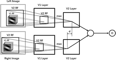 Binocular Matching Model Based On Hierarchical V1 And V2 Receptive Fields With Color