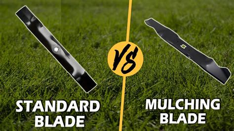 Bagging Vs Mulching Lawn Mower Blades Comparison 53 OFF