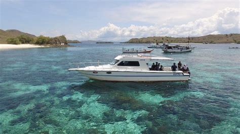 SEWA SPEEDBOAT LABUAN BAJO BAJO RENTAL