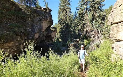 Piedra River - near Pagosa Springs-Arboles, CO | San Juan National Forest - Uncover Colorado