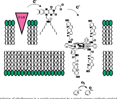 PDF Self Assembled Nanoreactors Semantic Scholar