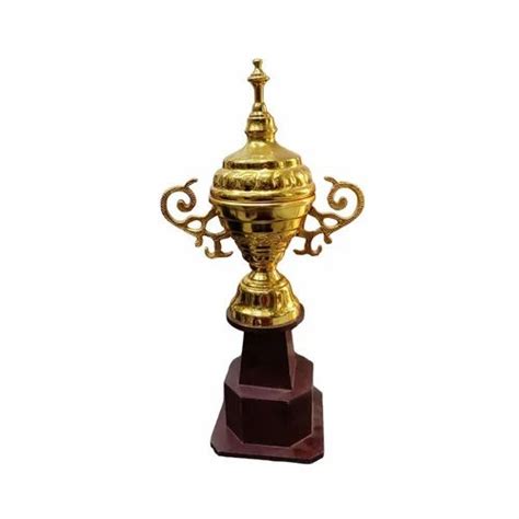 15 inch Brass Golden Cricket Trophy at Rs 1200 piece बरस करकट