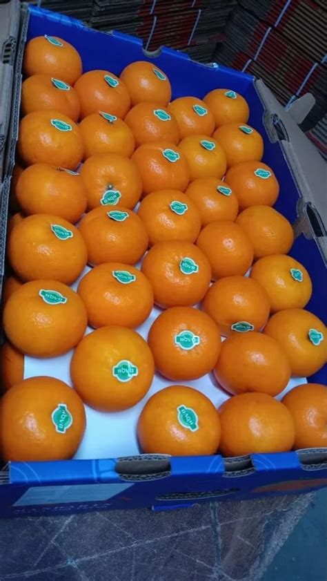 Maharashtra A Grade Fresh Orange Packaging Size 20 Kg Packaging Type