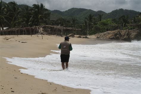 Coepris Playas De Michoac N Aptas Y Seguras Para Vacacionar En