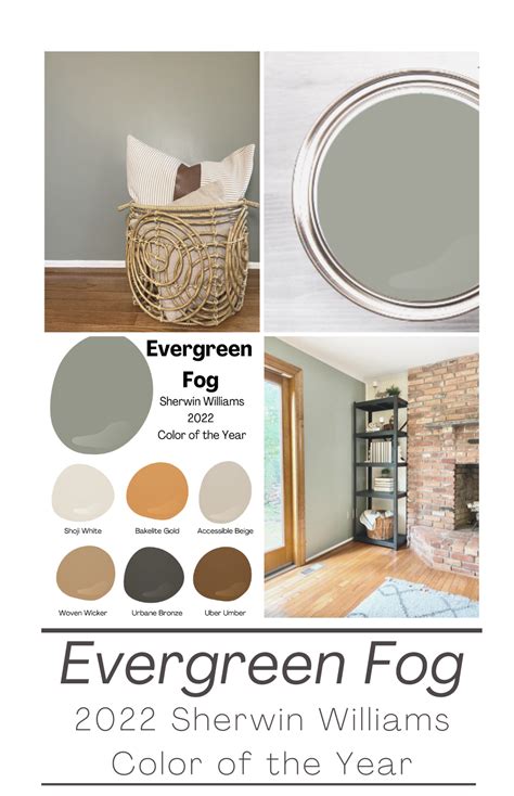 Introducing Evergreen Fog: SW 2022 Color of the Year | House color ...