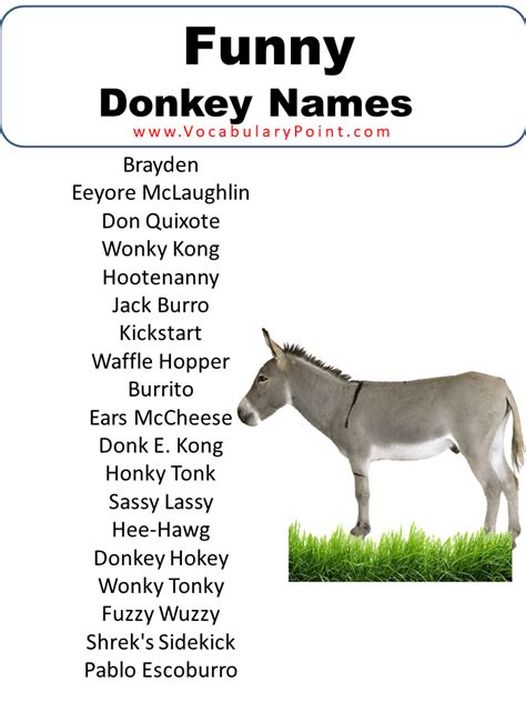 460+ Best Donkey Names (Unique,Funny,Male & Female) - Vocabulary Point