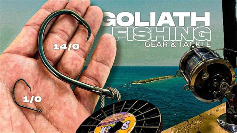 Goliath Grouper Fishing Stuart Florida Fishing Atlantic Coast