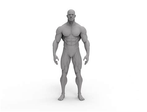 3d Male Bodybuilder 3d Model 3d Printable Cgtrader