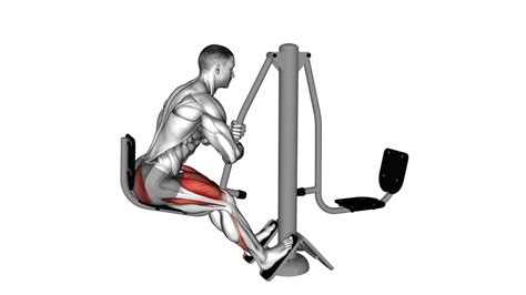 Lever Outdoor Seated Leg Press Video Guide And Tips