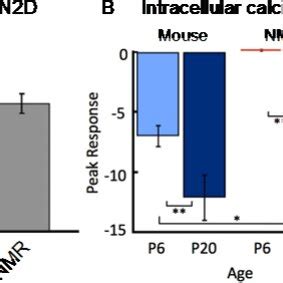 Sequence Alignment Of Nav For Naked Mole Rats And Other