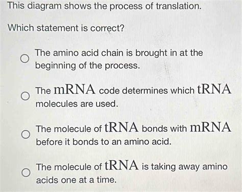 Solved This Diagram Shows The Process Of Translation Which Statement