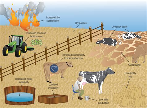 Due To Drought Conditions USVI Farmers Might Qualify For USDAs