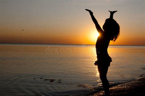 I Gabbiani Del Mare Di Tramonto E Di Volo Fotografia Stock Immagine