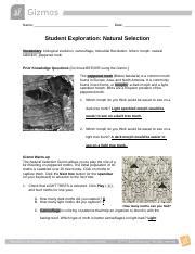 Natural Selection Gizmo With Answers Docx Name Date Student