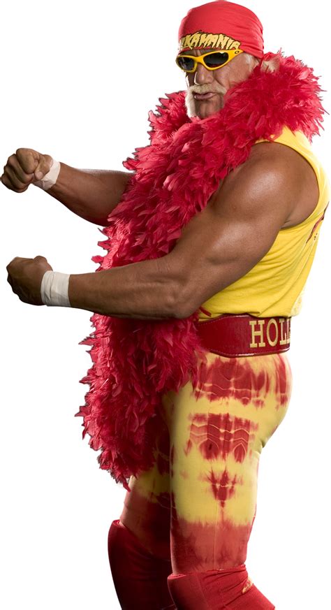 Hulk Hogan Png Png Image Collection | Images and Photos finder