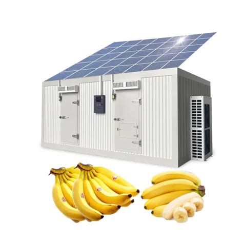 Solar Powered Cold Storage Blast Freezer Cold Room Storage Container