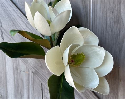 Set Of Magnolias Magnolia Magnolia Spray Magnolia Stem Faux