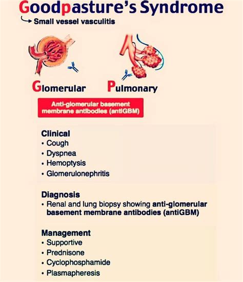 Goodpasture syndrome (GPS) | Goodpasture syndrome, Medical mnemonics, Medical blogs