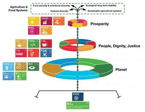 Sdg Levels Soroptimist International Great Britain And Ireland Sigbi