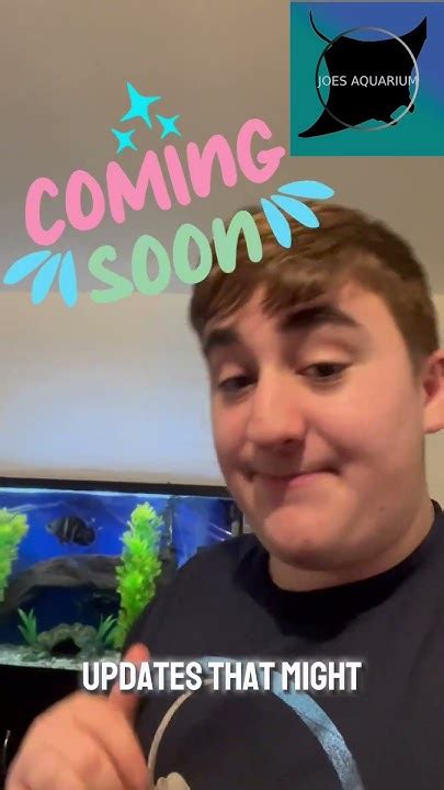 Major Fish Room Update Youtube