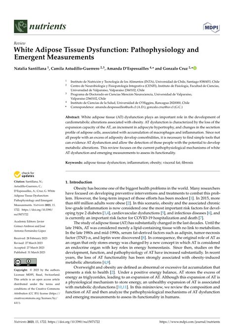 Pdf White Adipose Tissue Dysfunction Pathophysiology And Emergent