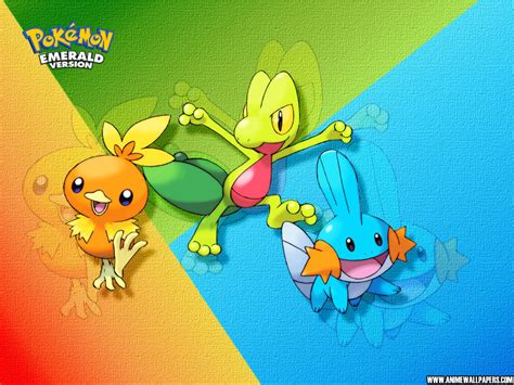 Treecko, Wallpaper - Zerochan Anime Image Board