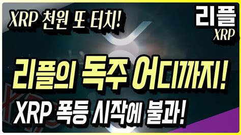 리플 Xrp 천원 또 터치 리플의 독주는 과연 어디까지인가 Xrp 폭등 이제 시작이다 리플 리플전망 리플코인