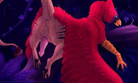 Rule Anus Ass Avian Balls Beak Black Claws Black Pawpads Blue Eyes Brown Body Brown Fur