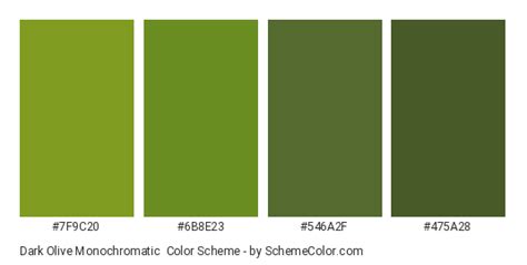 Dark Olive Monochromatic Color Scheme » Green » SchemeColor.com