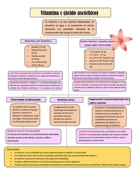 Mapa Conceptual Vitamina C Johanna PINTO UDocz