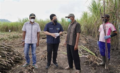 Jaktv Bentuk Sugar Co Erick Klaim Bakal Wujudkan Swasembada Gula