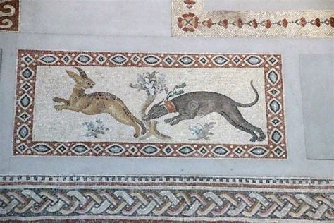 Wild Animals on Ancient Roman Mosaic Floor Editorial Stock Photo ...