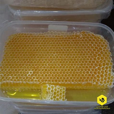 Sarang Madu Lebah Apis Mellifera Kualitas Super Gr Shopee Indonesia