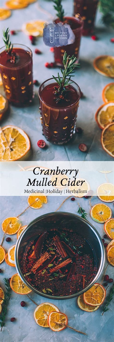 Cranberry Mulled Cider My Tiny Laguna Kitchen