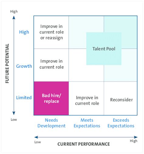 Nine Box Performance And Potential Matrix Matrix McCarthy 2008