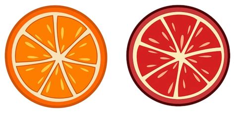 Premium Vector | Simple orange and red citrus slice vector drawing