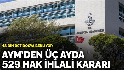 AYMden 2024ün ilk üç ayında 529 hak ihlali kararı 18 bin 907 dosya